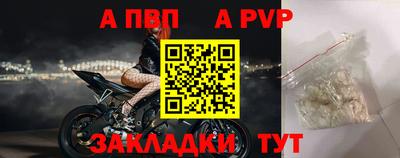 дмт Кингисепп