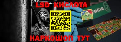 дмт Кингисепп