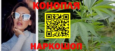 дмт Кингисепп