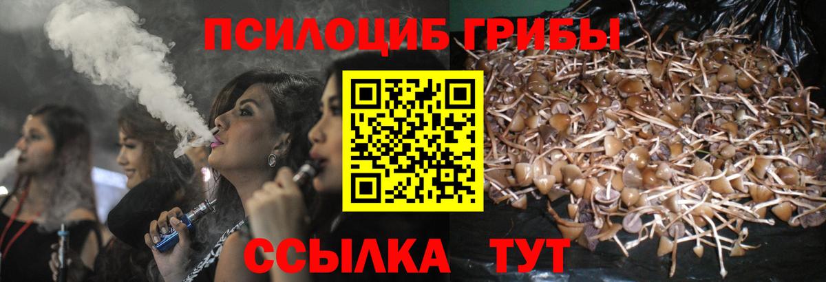 Галлюциногенные грибы Psilocybe  Вход с VPN  Кисловодск  Псилоцибиновые грибы GOLDEN TEACHER 